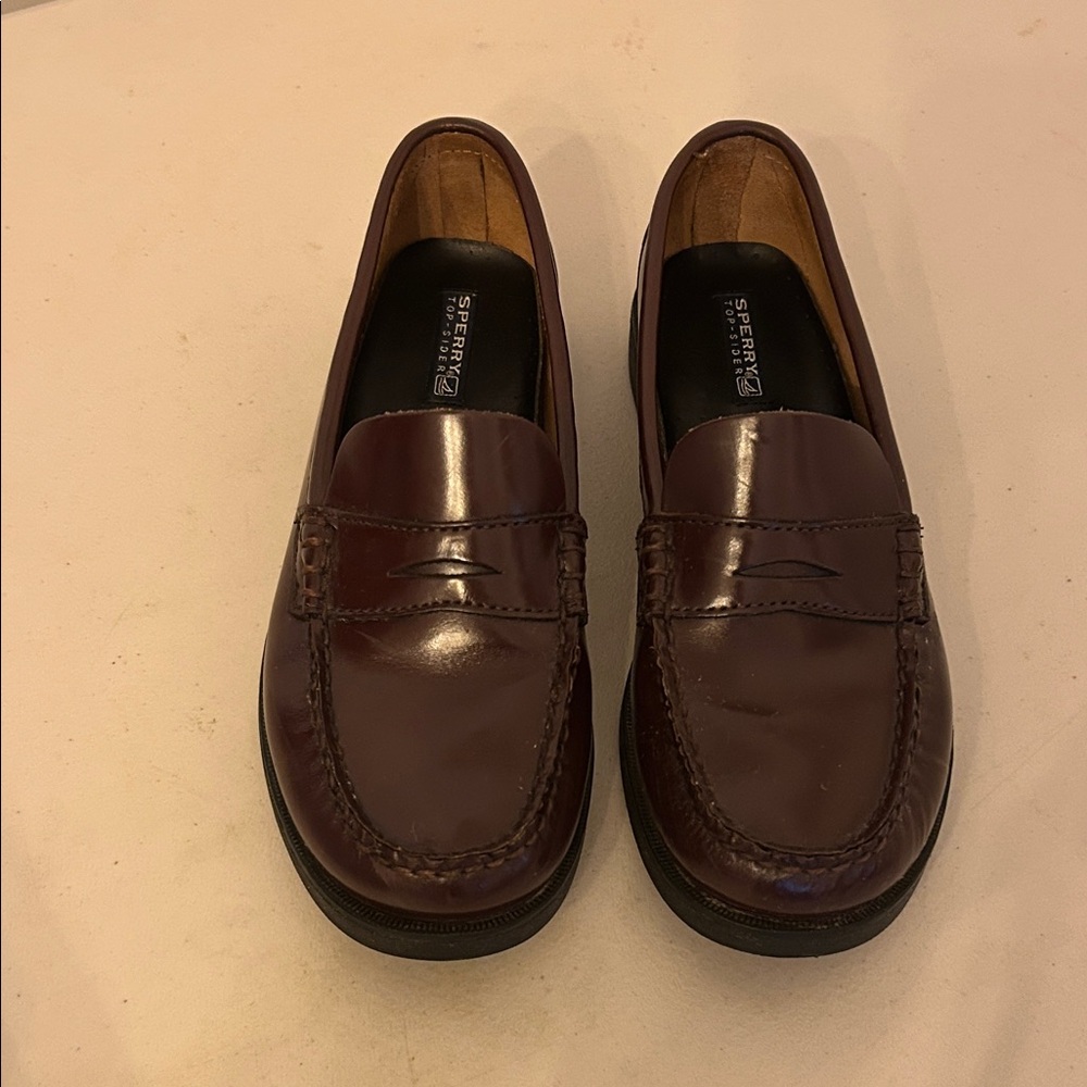 Sperry Boy's Dark Brown Leather Loafers